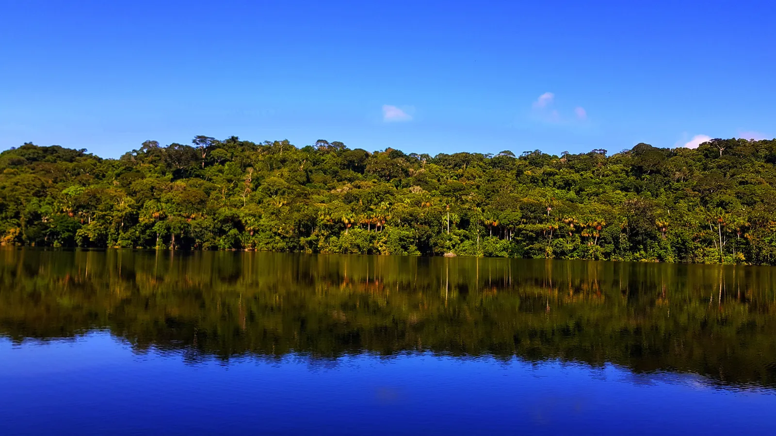 Santa Rosa Lagoon Madidi National Park
