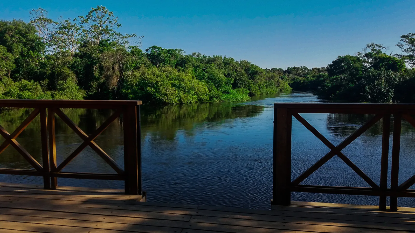 View point in Madidi Rurrenabaque