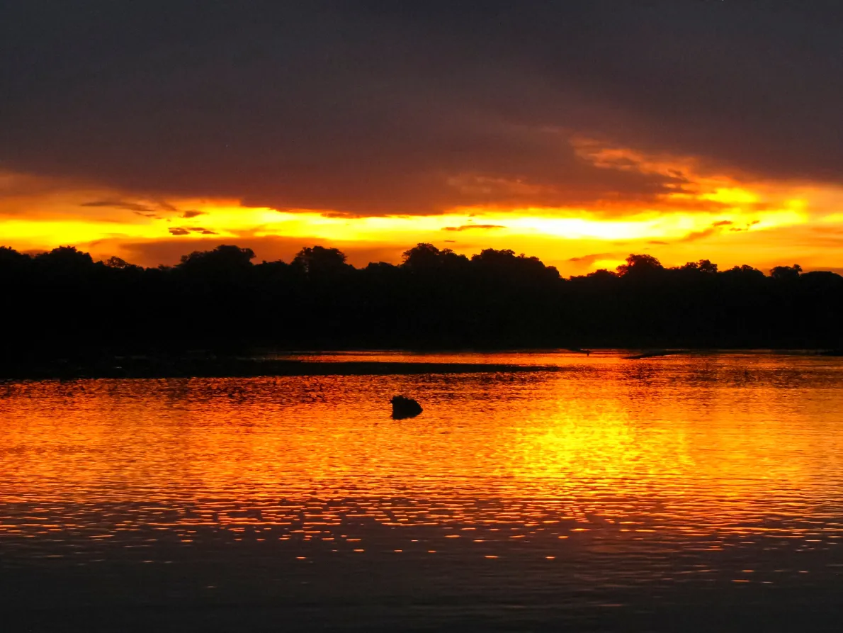Sunrise on the Tuichi River