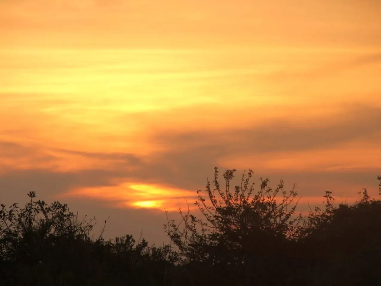 Ecolodge & Sunset Walk