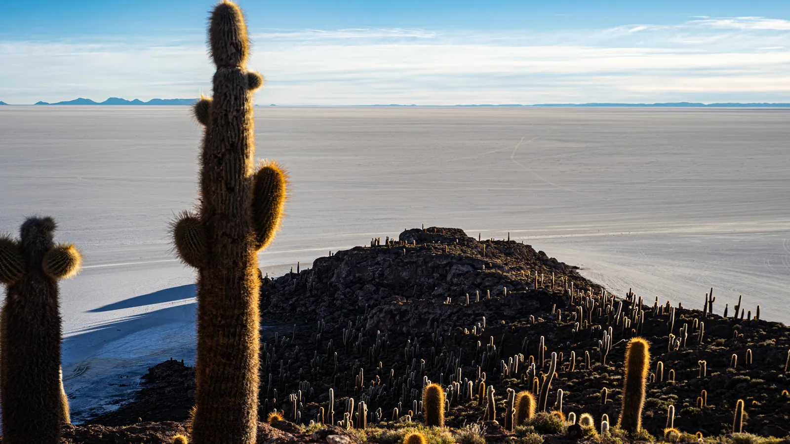 Incahuasi Island - Uyuni tour from San Pedro