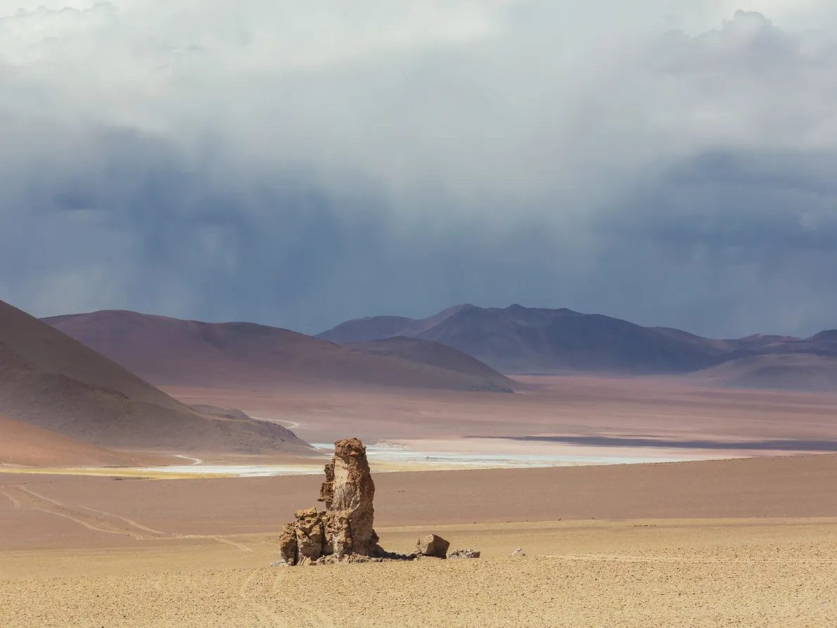 Dalí Desert