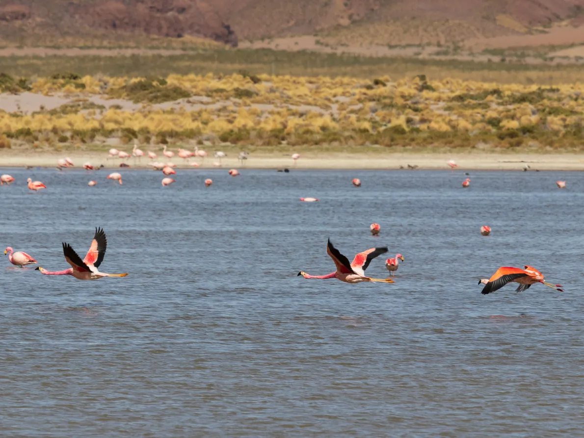 Laguna Vinto