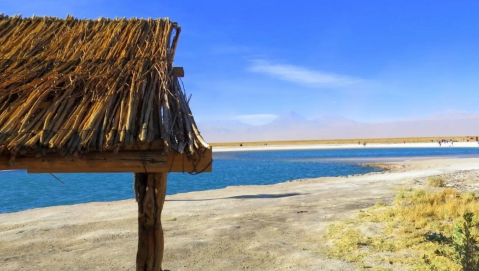 Laguna Cejar in the Atacama Desert, Chile