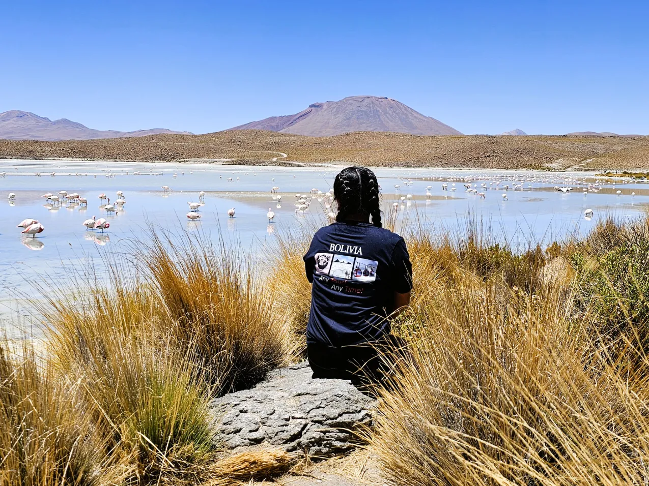 Altiplanic Lagoons
