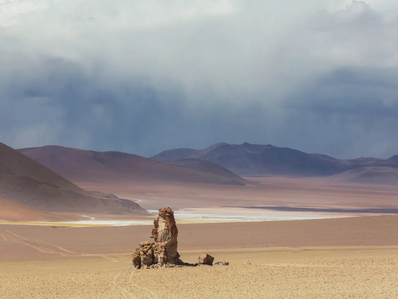 Dali Desert