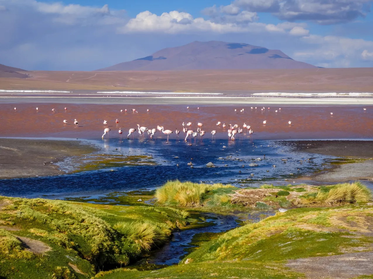 Laguna Colorada