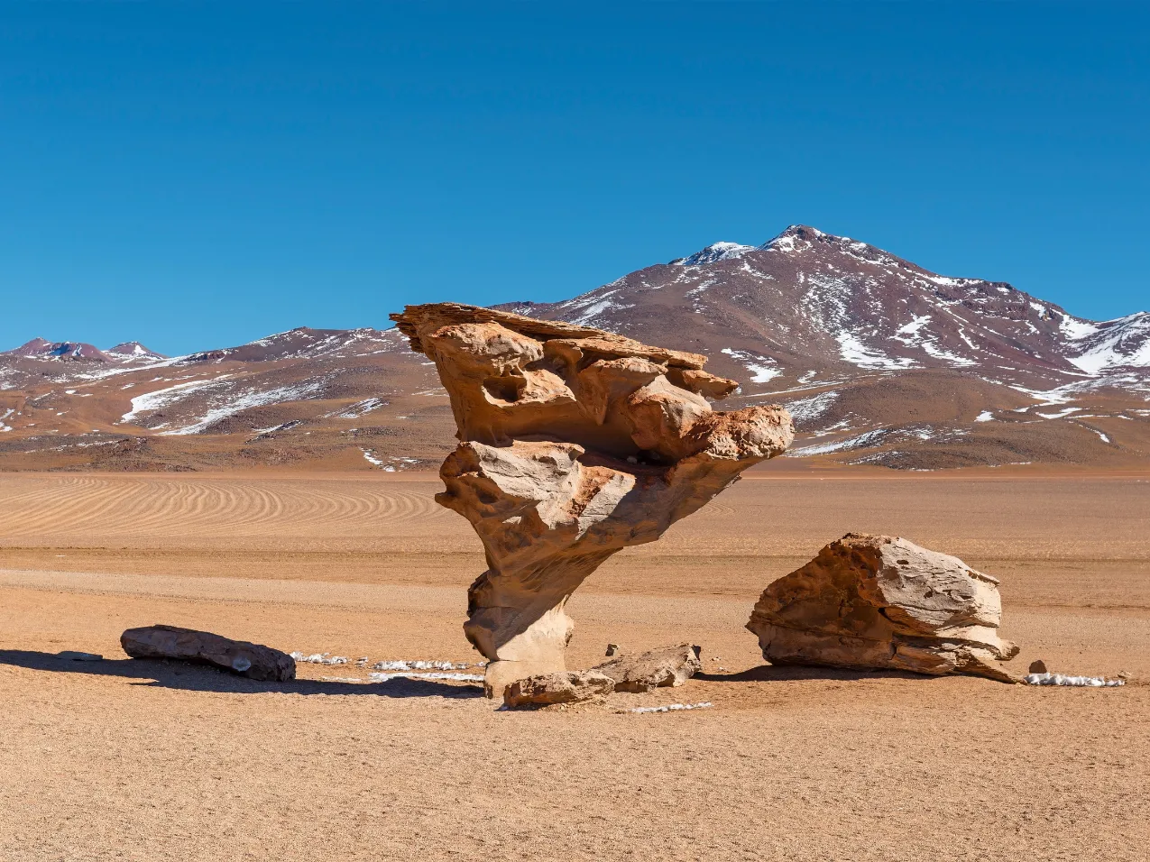 Siloli Desert & Stone Tree