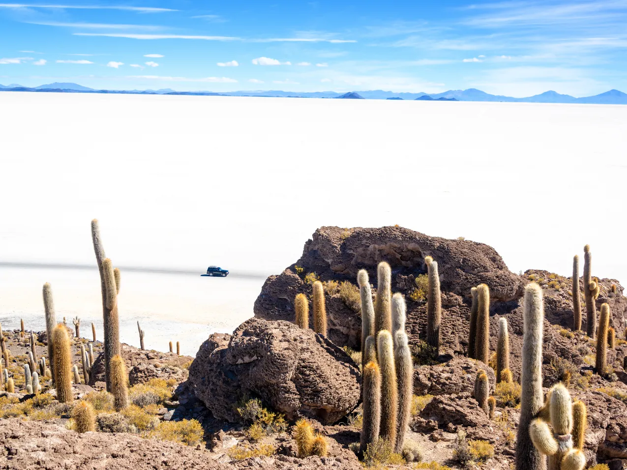 Incahuasi Island