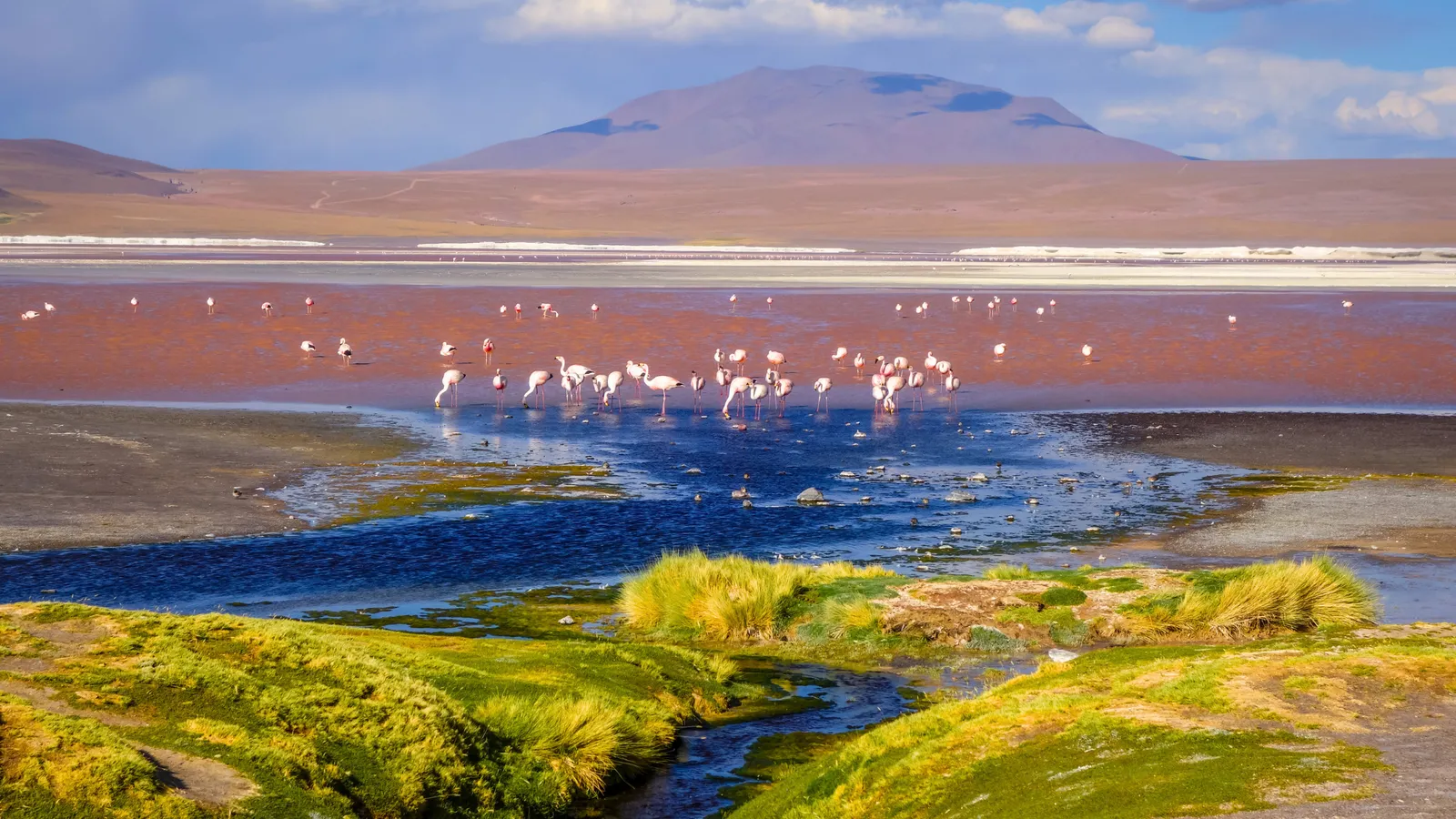 Colarada Lagoon