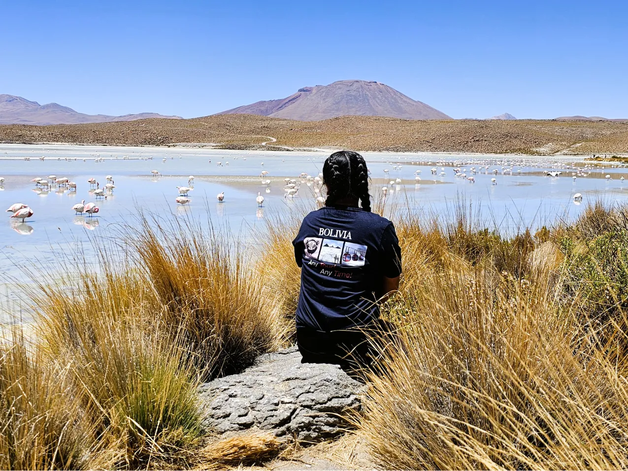 Altiplanic Lagoons