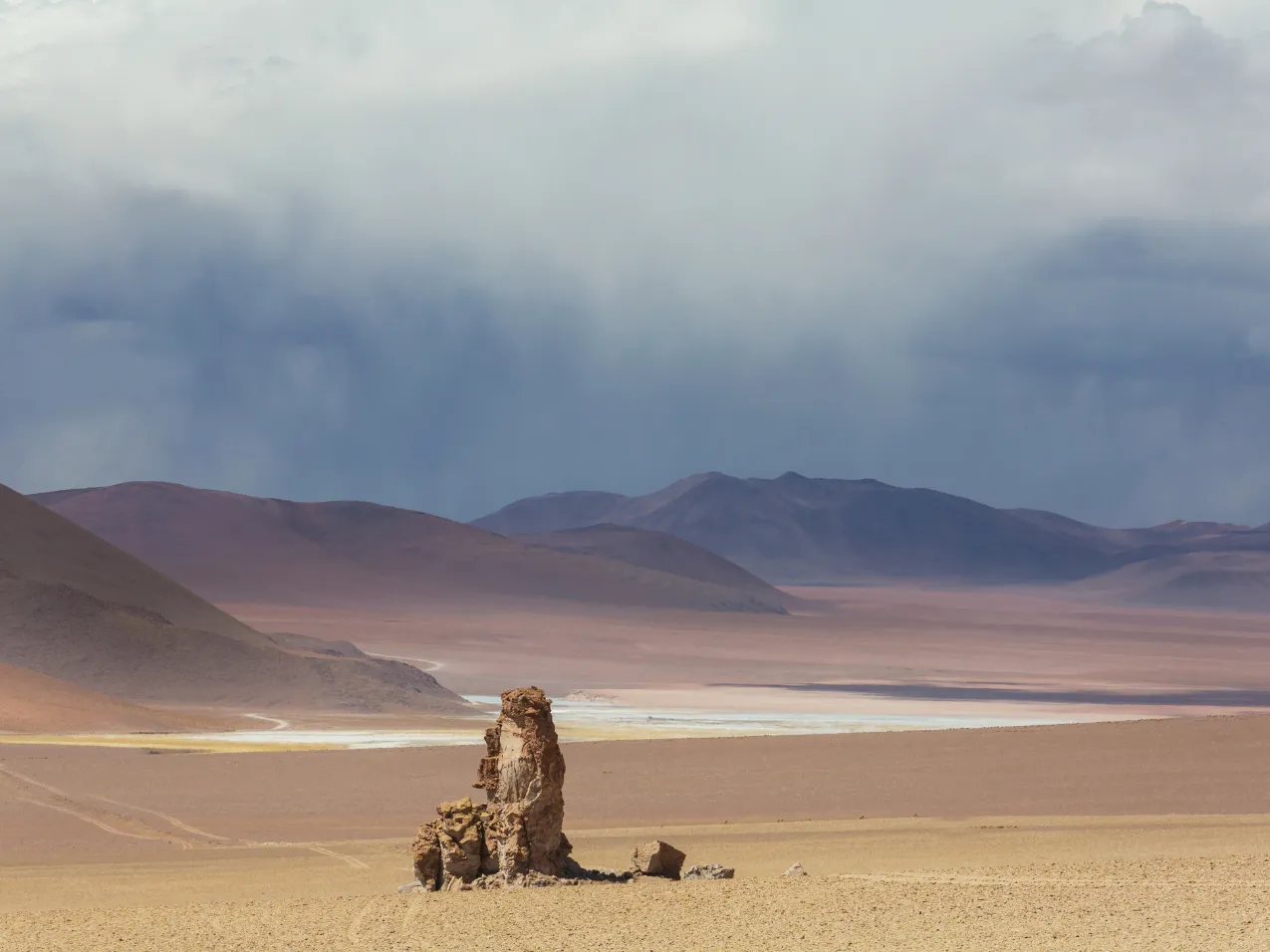 Dali Desert