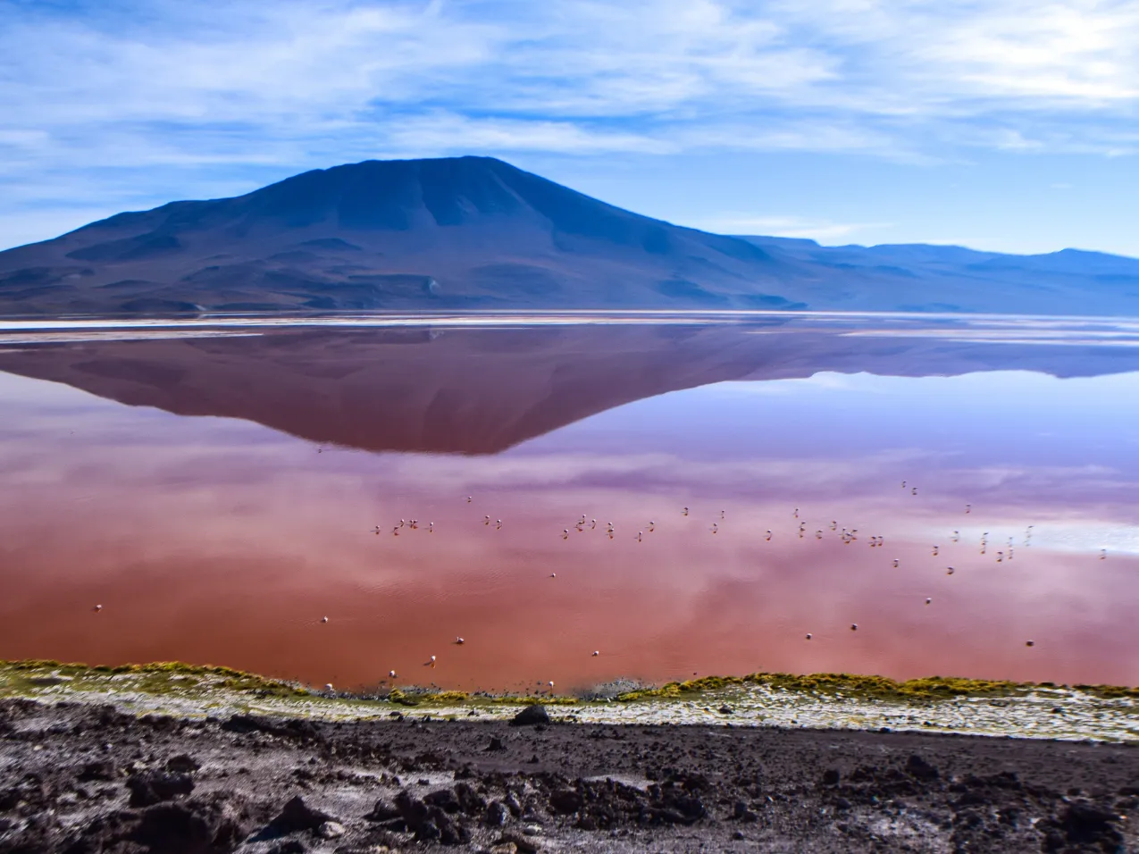 Laguna Colorada