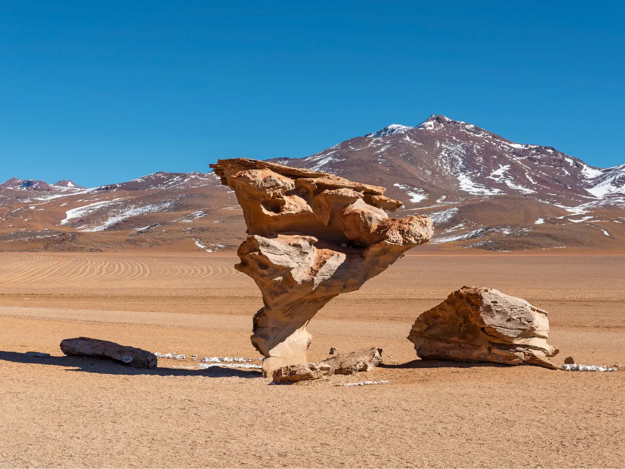 Siloli Desert & Stone Tree