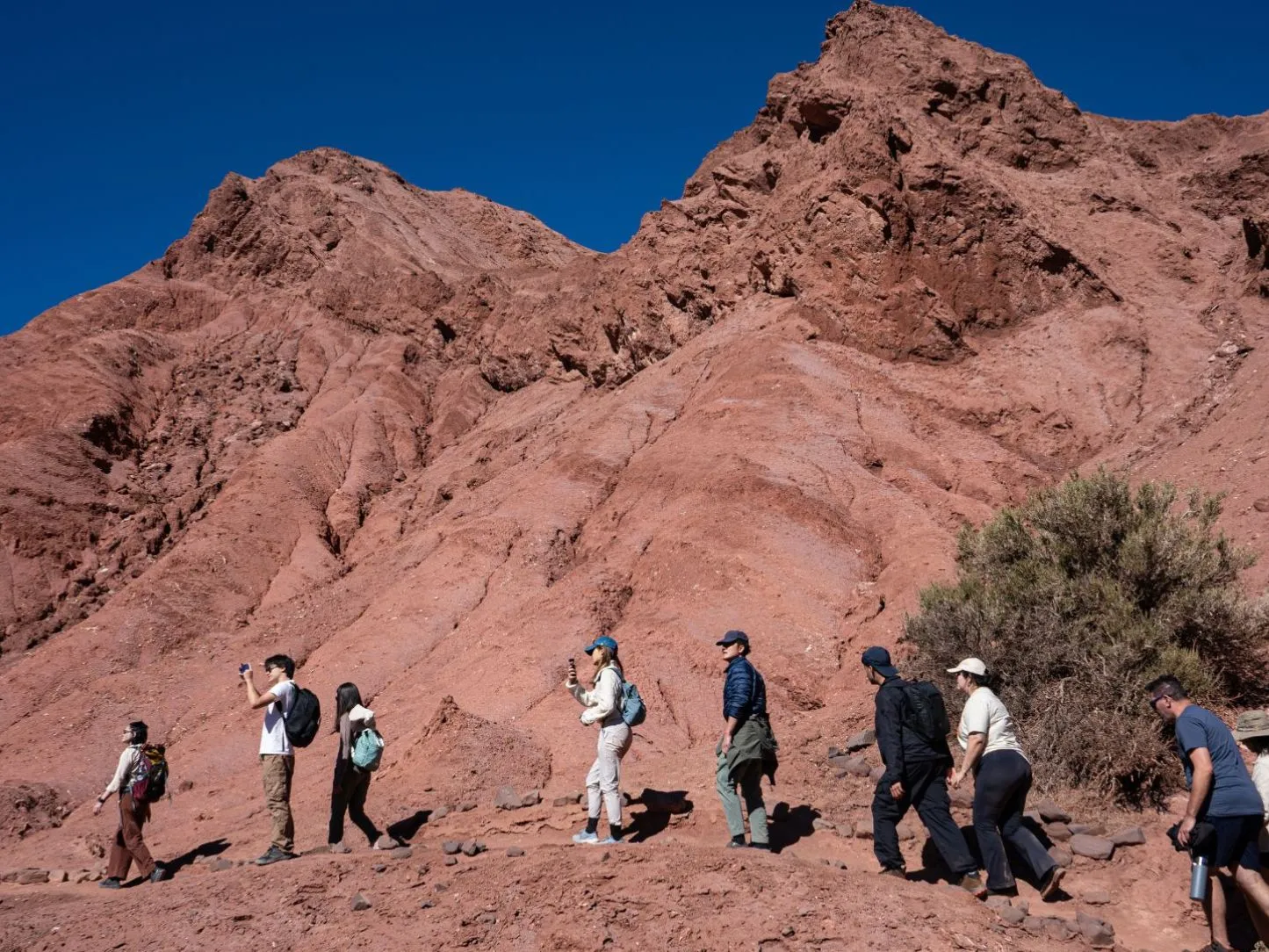 Interpretive walk